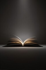 Spotlight Book Innovation