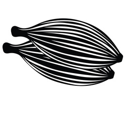 Cute cartoon hand drawn vector Cardamom icon silhouette.