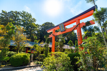 【奈良県】奈良市 霊山寺 (2025/10/07 撮影)