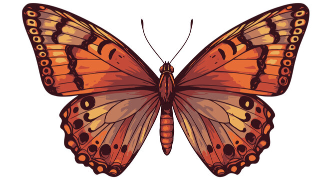 Orange butterfly illustration on white background perfect for design and print