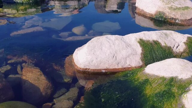 Close up of rocky sea bottom with calm clear water surface and huge stones covered by seaweed at low tide on Baltic Sea shore shallow. Coastal seascape natural texture background.