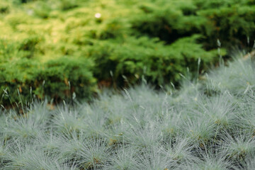 Autumn Landscape - Trees And Orange Foliage In Park At Sunset