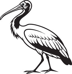 Ibis Bird Vector Illustration