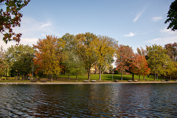 autumn landscape in the park, parc en automne