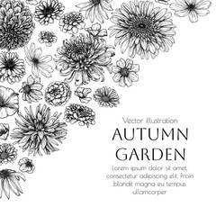 Vector frame autumn garden. Dahlia, cosmos, zinnia, marigold, calendula, rudbeckia, gladiolus, datura, chrysanthemum, gerbera in engraving style