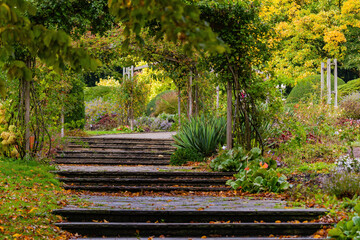 Fall trees landscape in vibrant colors