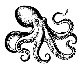 Octopus vector engraving style illustration