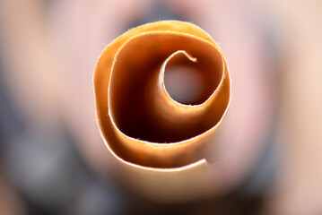 Kleine Papierrolle aus einer sehr alten Buchseite mit altdeutscher Schrift. Als Makro fotografiert.