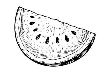 Watermelon vector engraving style illustration