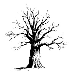 Winter tree vector engraving style illustration