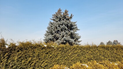 beautiful view of the garden
