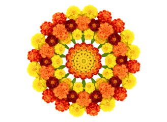 Intricate floral mandala design isolated on transparent background