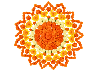Intricate floral mandala design isolated on transparent background