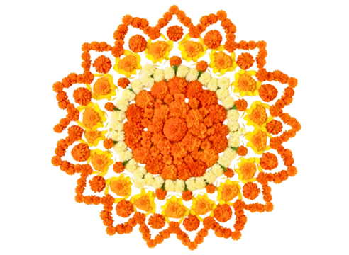 Intricate floral mandala design isolated on transparent background - Powered by Adobe