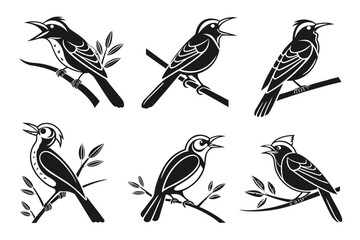 Minimalist tropical bird icons set