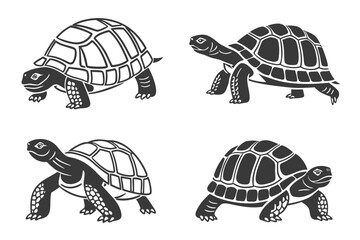 Minimalist tortoise walking icon set