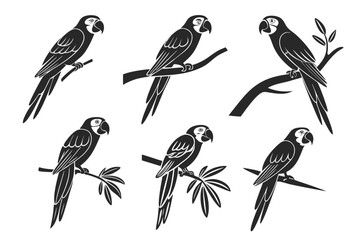 Tropical macaw parrot icon set minimalist design