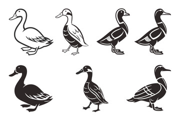 Vintage duck minimalist icon set in black and yellow