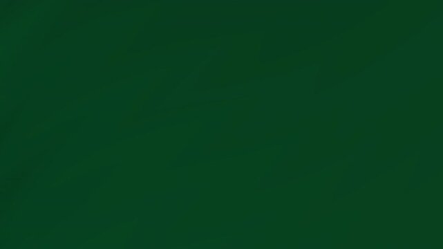Solid dark green color, no details visible. Great for backgrounds, textures, and abstract designs needing a simple and bold element.