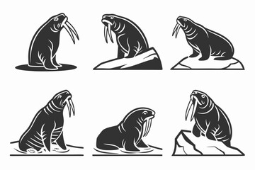 Minimalist walrus icon set with tusks