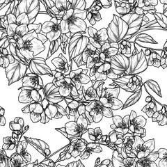 Seamless vector pattern of blooming jasmine. Spring floral background. Delicate decor of blooming branches in engraving style	