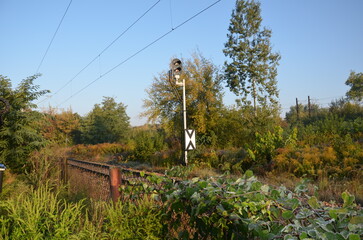 A train moving along the railway tracks in the early morning mist.