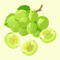 Realistic Green Grapes Vector Illustration”