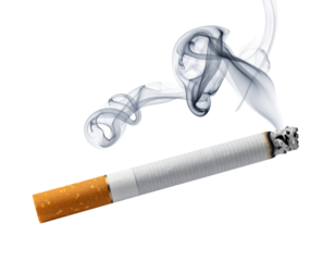 cigarette butt on white background