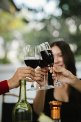 Happy young friends celebrate together at a stylish restaurant, enjoying wine, laughter, and friendship during an elegant evening gathering.	
