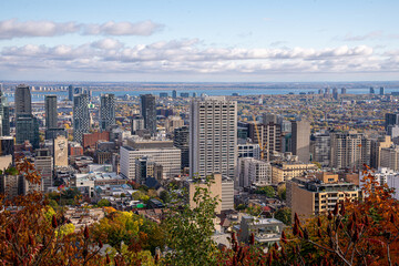 Panoramic view, Automn in Mount Royal