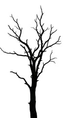 Transparent PNG Image Of A Bare Tree Decorated With Colorful LED Lights