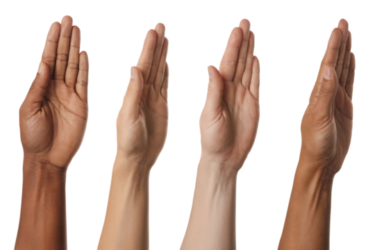 Hands of different people reaching upwards in a display of unity. Isolated on transparent background, png