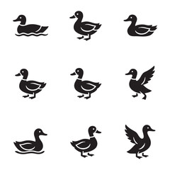 set of duck