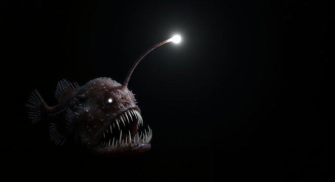 Deep sea anglerfish illuminated in darkness marine life illustration concept