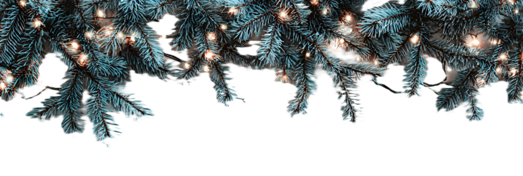 Closeup of a decorated christmas tree branch with twinkling lights, isolated on transparent background