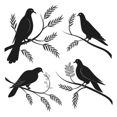 Obraz premium collection of birds