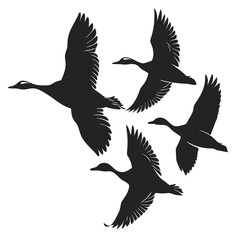 Fototapeta premium set of silhouettes of birds