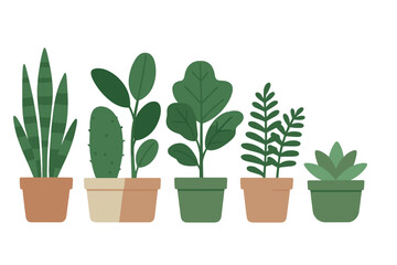 Collection of various potted green indoor houseplants arranged in a row