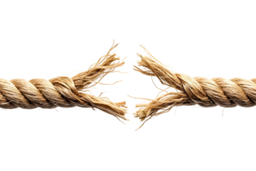 Close up of a thick natural fiber rope fraying and breaking apart isolated on transparent background