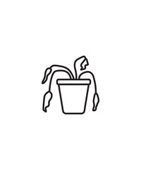 dry plant icon, vector best line icon.