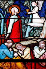 Obraz premium Saint Seine church. Stained glass. Jesus praying in the garden of Gethsemane after the Last Supper, while the disciples sleep. Corbigny. France.