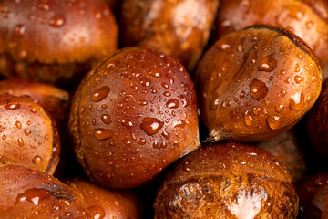 a hard, edible chestnut fruit in a brown shell covered with water droplets on a wooden table, a group of wet, fresh chestnut fruits with a brown hard shell