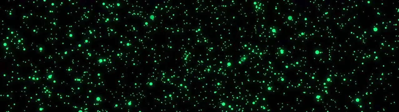 Green boll background.Glittering white dot lights overlay magic flares, starry night concept.
