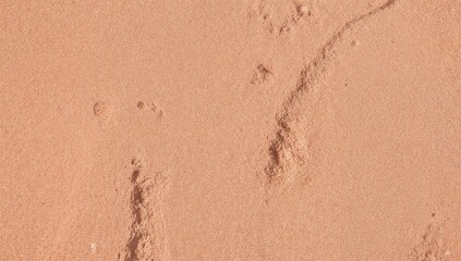 Footprints in the Sand: A Beach Day's Gentle Reminder