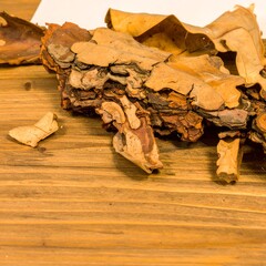 Dried bark pieces on wooden surface