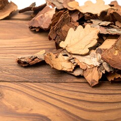 Dried leaves and bark pieces on wood