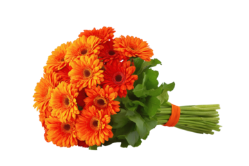  vibrant bouquet of orange gerbera daisies. Isolated on transparent background, png