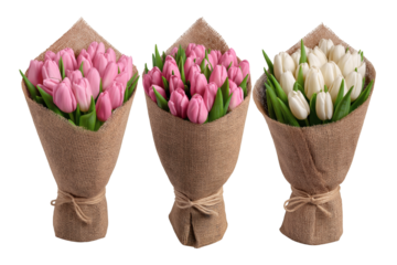Three lovely tulip bouquets wrapped elegantly in brown paper, each with a unique color palette. Isolated on transparent background, png