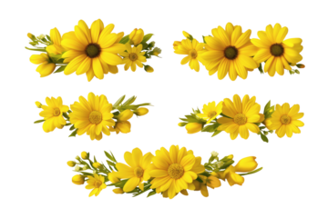  collection of vibrant sunflowers, perfect for any creative project. Isolated on transparent background, png