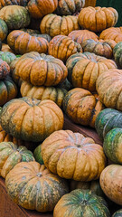 pile of pumpkins